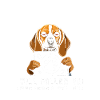 Personal Stalker Beagle
