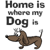 Home is where my Dog is