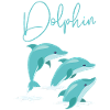 Dolphin Dolphin Whisperer