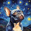 Bouledogue français Nuit étoilée