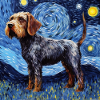German Wirehaired Starry Night