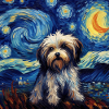 Havanese Starry Night