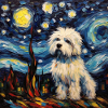 Havanese Starry Night