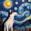 Husky Starry Night