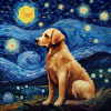 Golden Retriever Starry Night