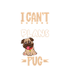 Plans avec mon carlin