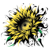 Sunflower | Sunflower
