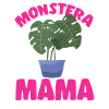 Monstera Deliciosa Albo Botanical Houseplant