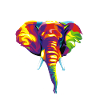 Elephant with colourful abstract motif.