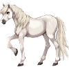 White Horse