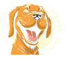 Labrador Mignon Juste Sourire
