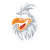 Chicken Hen Funny