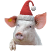 Saugeile Weihnachten