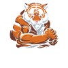 Fitness Tiger