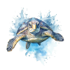 Tortue bleue