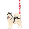 Alaskan Malamute Us Flag