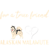 I Asked God Alaskan Malamute