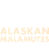 Café Et Malamute D’alaska