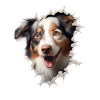 Australian Shepherd Owner - Perfect Aussie