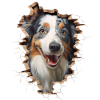 Australian Shepherd Owner - Perfect Aussie