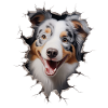 Australian Shepherd Owner - Perfect Aussie