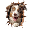 Australian Shepherd Owner - Perfect Aussie