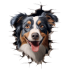 Australian Shepherd Owner - Perfect Aussie