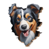 Australian Shepherd Owner - Perfect Aussie