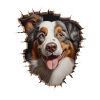 Australian Shepherd Owner - Perfect Aussie