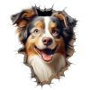 Australian Shepherd Owner - Perfect Aussie