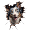 Australian Shepherd Owner - Perfect Aussie