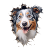 Australian Shepherd Owner - Perfect Aussie