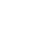 White Lunar Cross