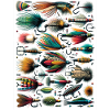 Fly Fishing Flies Fisherman Art