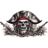 Pirate Skull Halloween Costume Design