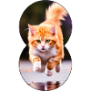 Running cat 4
