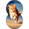 Running cat 7