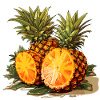 Ananas - Illustration