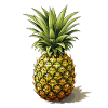 Pineapple - illustration
