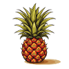 Ananas - Illustration