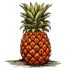Ananas - illustration