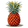 Ananas - illustration