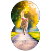 Running cat 2