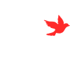 Free palestine