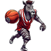 Basketball Zebra
