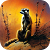 Cute meerkat in autumn
