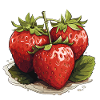 Strawberry - illustration