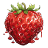 Erdbeere - Illustration