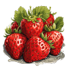 Fraise - illustration