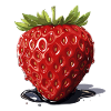 Fraise - illustration